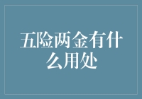 五险两金：现代社会保障体系的基石