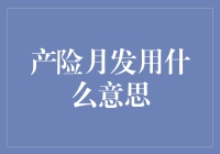 产险月发用什么意思：从个人保险到保险行业的视点解读