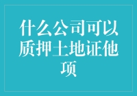 如果土地可以当零食，那质押土地证他项是不是就可以当零食券？