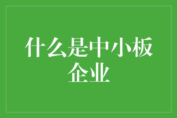 什么是中小板企业