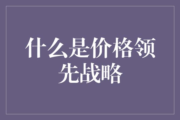 什么是价格领先战略