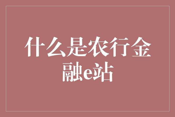 什么是农行金融e站