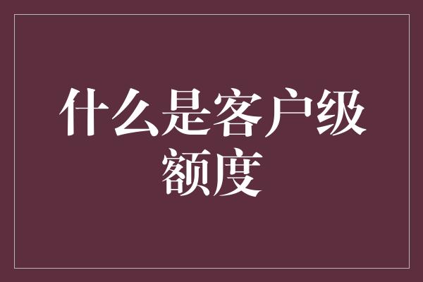 什么是客户级额度