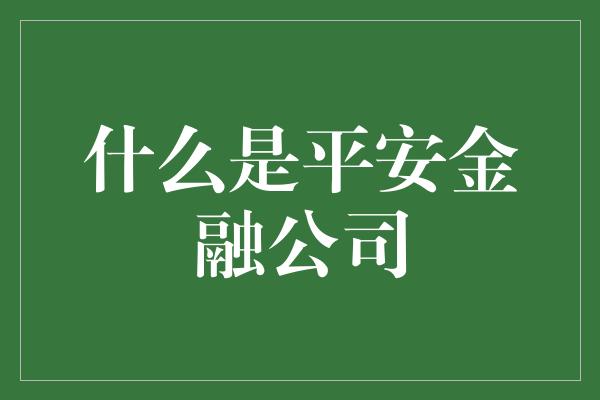 什么是平安金融公司