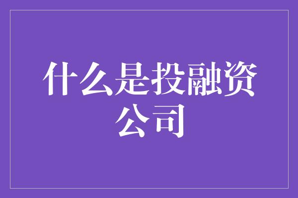 什么是投融资公司