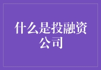 金融界的爱情公寓：揭秘投融资公司的神秘面纱