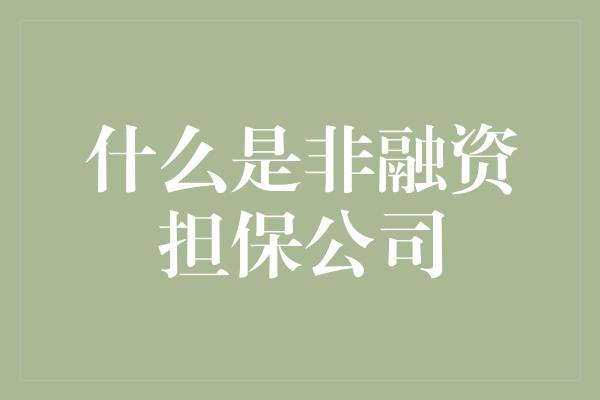 什么是非融资担保公司