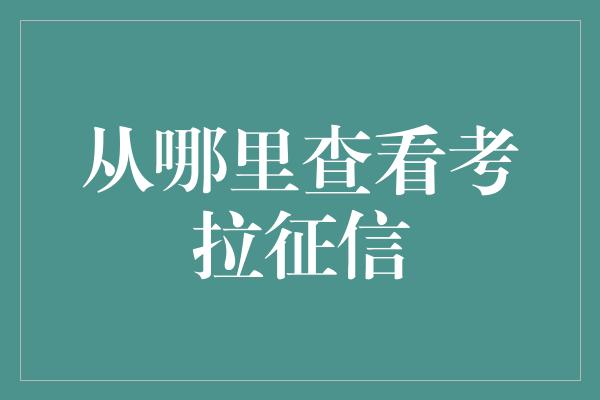 从哪里查看考拉征信