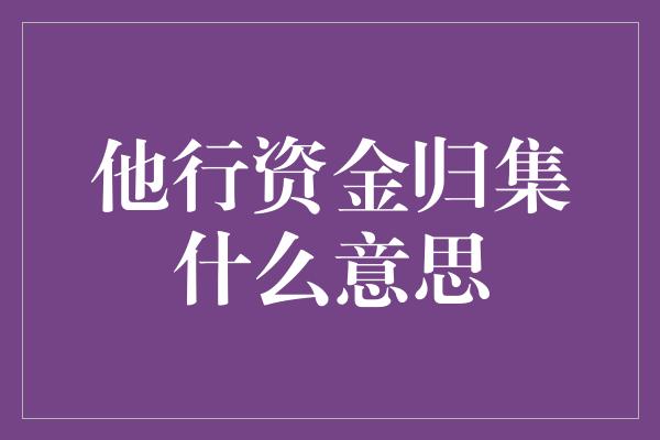 他行资金归集什么意思