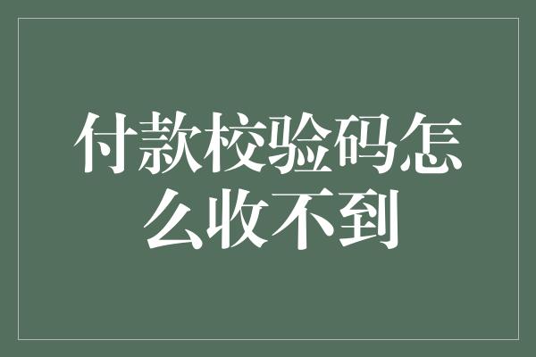 付款校验码怎么收不到