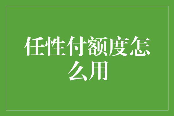 任性付额度怎么用