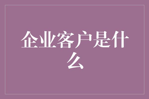 企业客户是什么