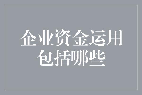 企业资金运用包括哪些