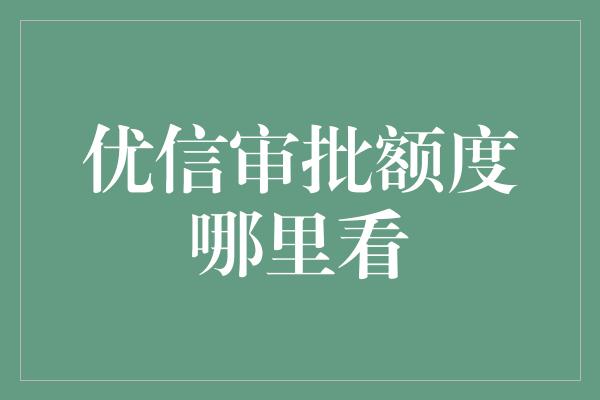 优信审批额度哪里看