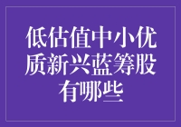 低估值中小优质新兴蓝筹股的投资机会分析