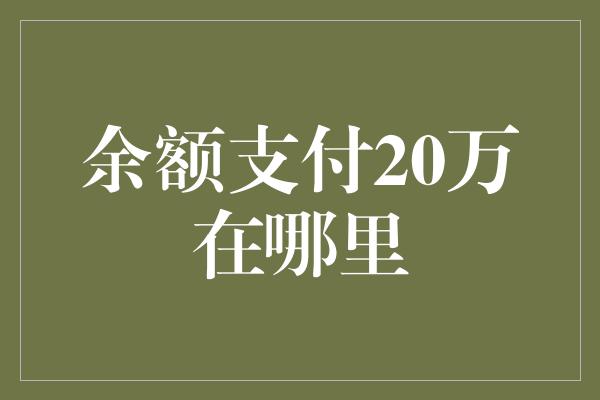 余额支付20万在哪里