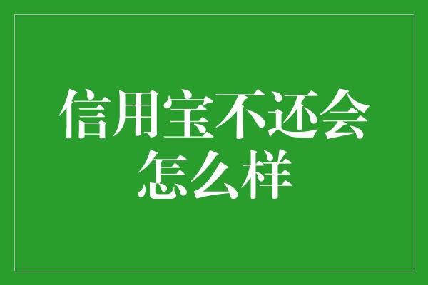 信用宝不还会怎么样