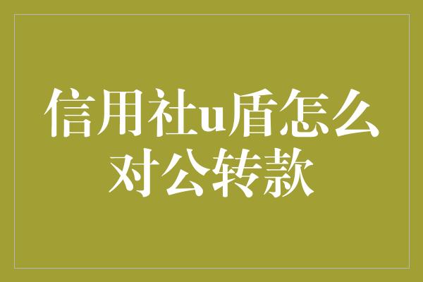 信用社u盾怎么对公转款