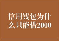 信用钱包为何借款额度受限于2000元：金融信息安全与风险控制的考量