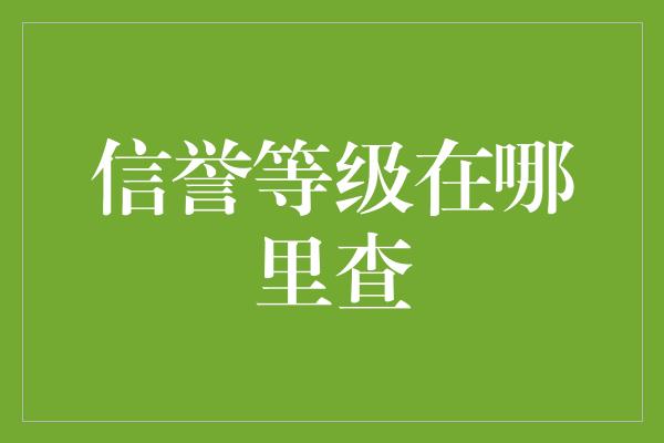 信誉等级在哪里查