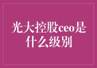 光大控股CEO级别探讨