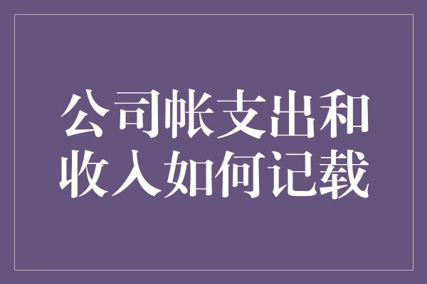 公司帐支出和收入如何记载