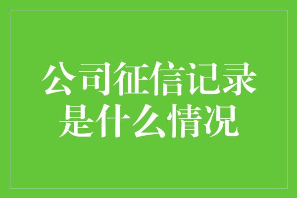 公司征信记录是什么情况