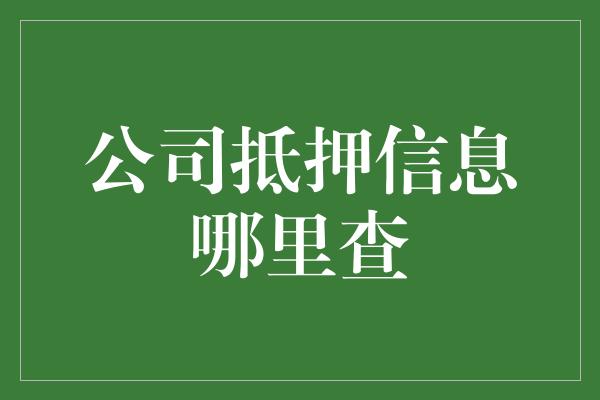 公司抵押信息哪里查