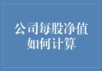 公司每股净值计算方法：细致解析与实例分析