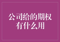 期权的魅力：公司赠予的隐形财富