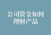 提升公司财务收益：深入探讨公司资金的理财产品选择与策略