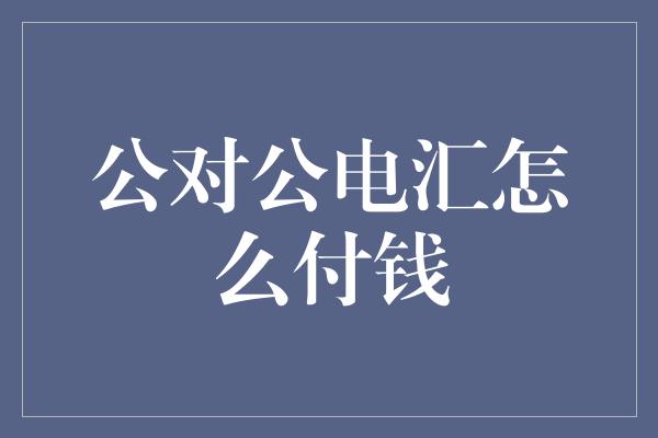 公对公电汇怎么付钱