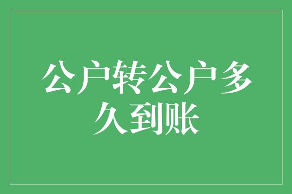 公户转公户多久到账