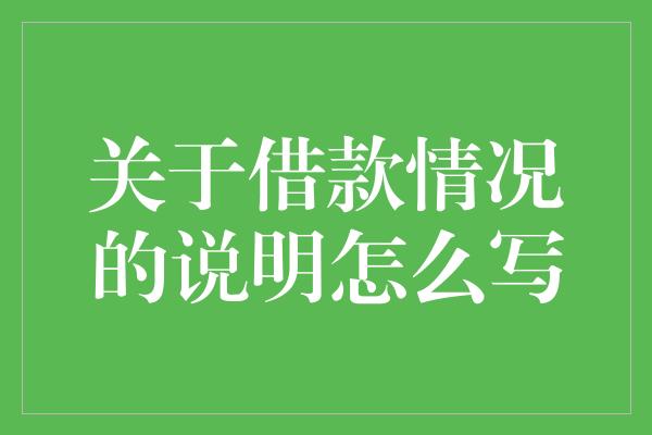 关于借款情况的说明怎么写