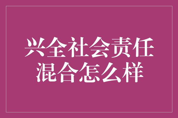 兴全社会责任混合怎么样