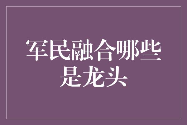 军民融合哪些是龙头