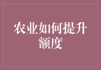 农业金融创新：提升额度的策略与路径