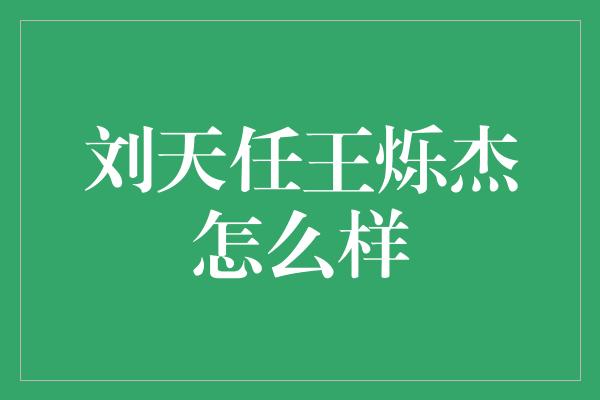 刘天任王烁杰怎么样