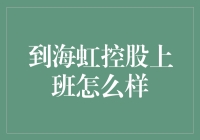 海虹控股：在彩虹尽头工作的魅力与挑战