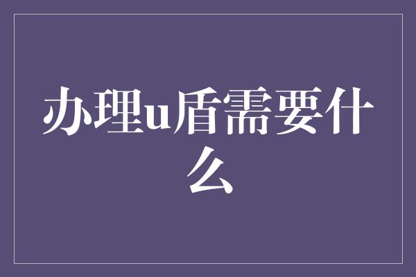 办理u盾需要什么