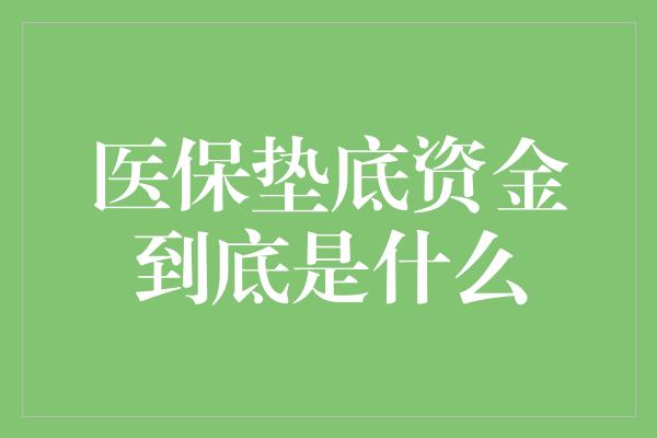 医保垫底资金到底是什么