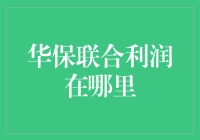 华保联合利润的深度解析：构建保险行业创新盈利模式