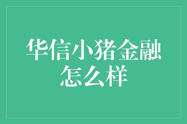 华信小猪金融怎么样