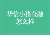 华信小猪金融：新兴金融领域的探索与实践