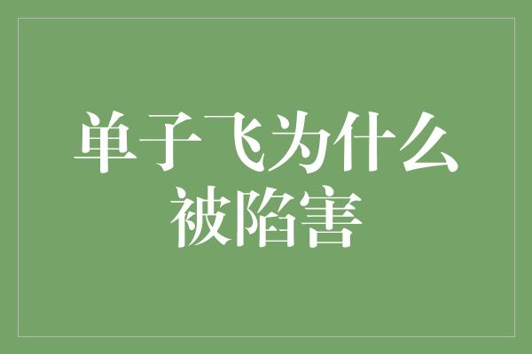 单子飞为什么被陷害