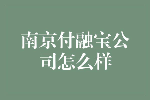 南京付融宝公司怎么样