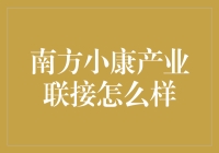 南方小康产业联接的创新模式与影响分析