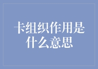 信用卡组织在支付行业的角色与作用深度解析