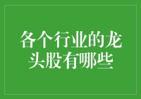 各个行业龙头股的崛起与影响：一场资本市场的盛宴