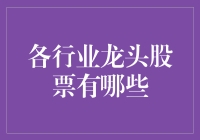 中国各行业龙头股票分析与投资策略